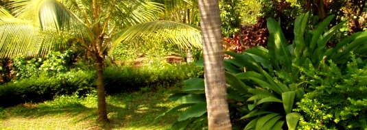 Goa
India